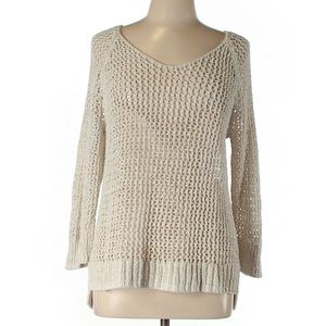 JC Penny Pullover Sweater (L)
